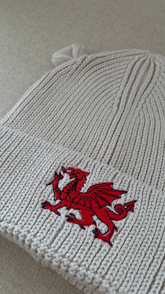 Infant Dragon Beanie