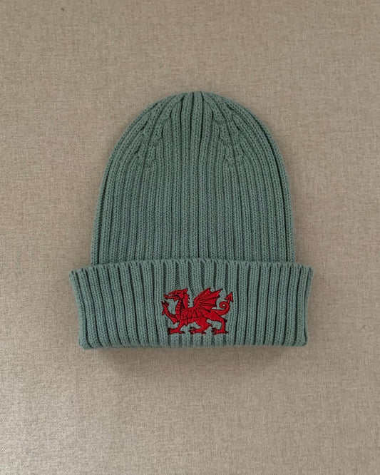 Children's Dragon Beanie