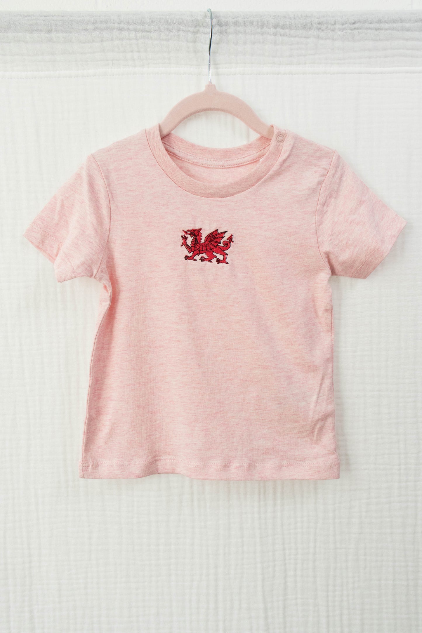 Infant Dragon T-Shirt