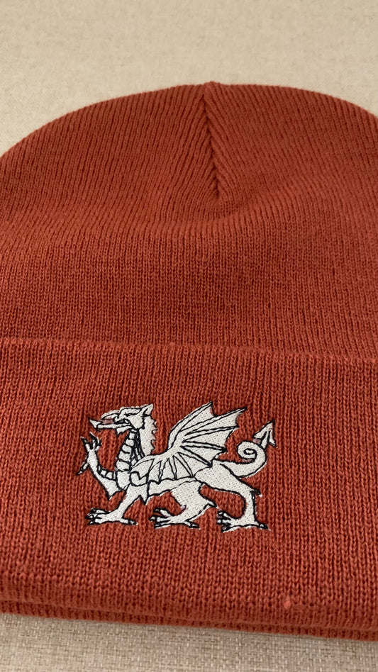 Adults Dragon Beanie