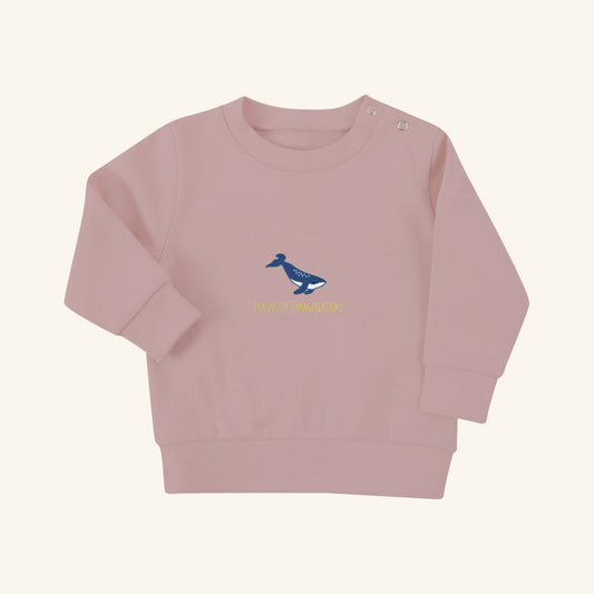 Baby Whale Sweater